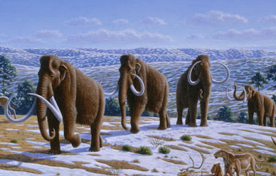 5 Tahun Lagi, Mammoth Akan Hidup di Bumi 5 Tahun Lagi, Mammoth Akan Hidup di Bumi