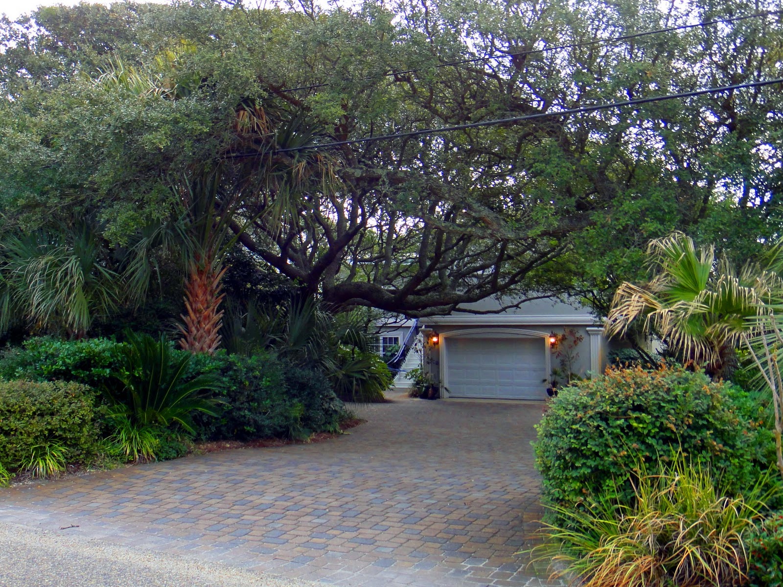 Myrtle Beach Plastic Surgery Specialists Myrtle Beach Plastic Surgery Specialists