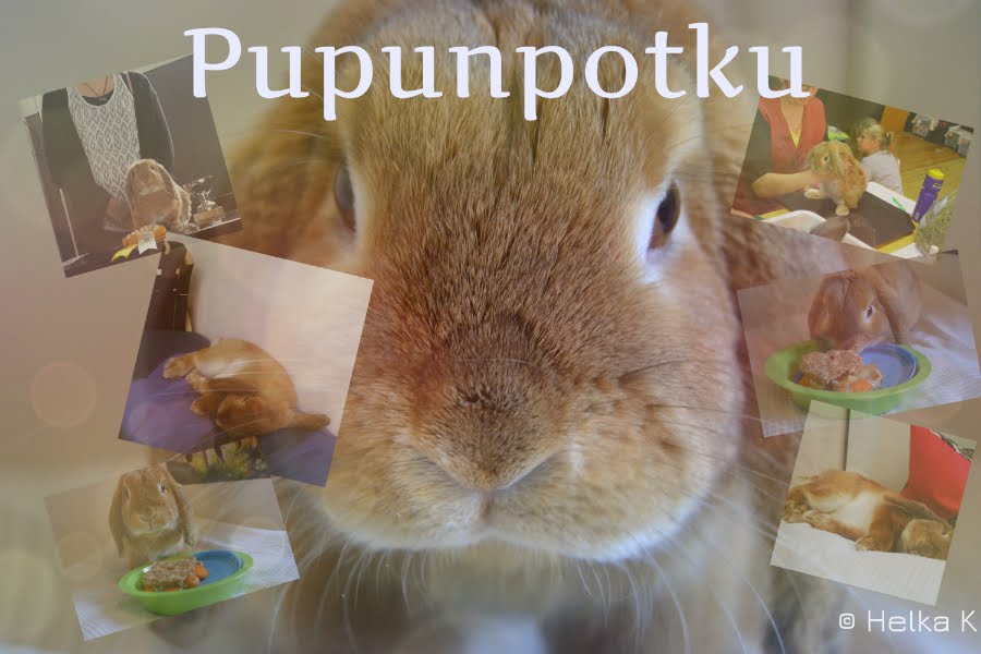 Pupunpotku