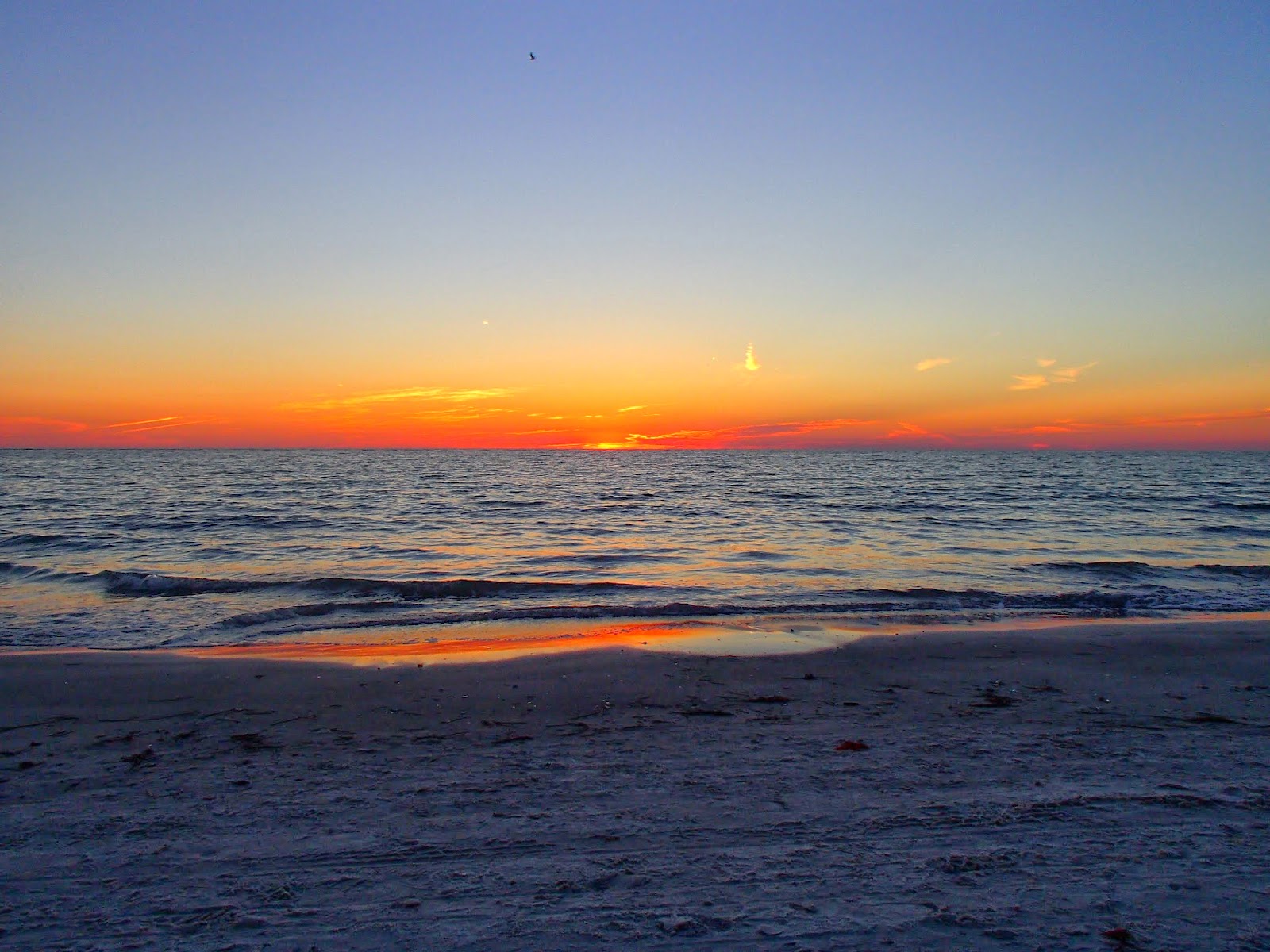 Gulf Coast Sunset | Navigating Hectivity by Micki Bare Gulf Coast Sunset | Navigating Hectivity by Micki Bare