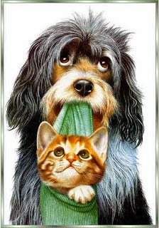 caes e gatos