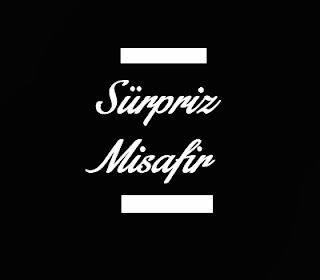 Sürpriz Misafir