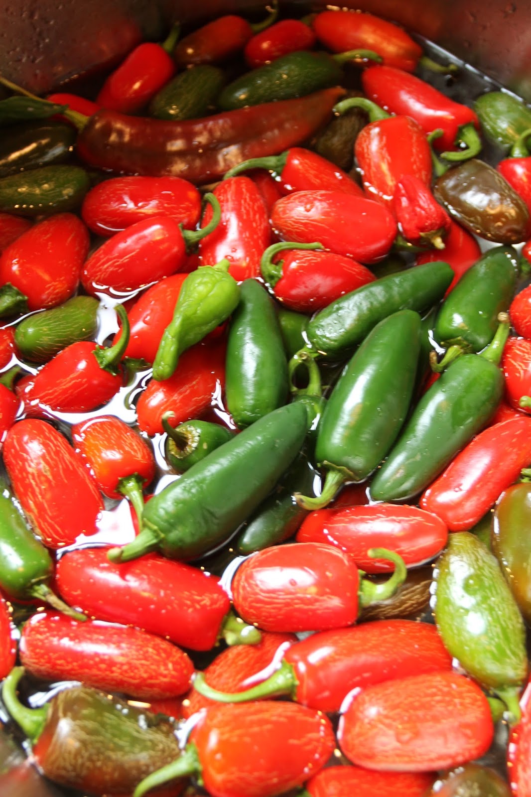 Bossy Italian Wife Pickled Jalapeños [I Am In LOVE!]