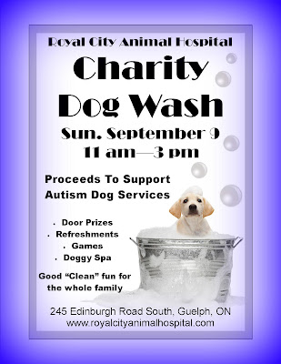 Charity Dog Wash