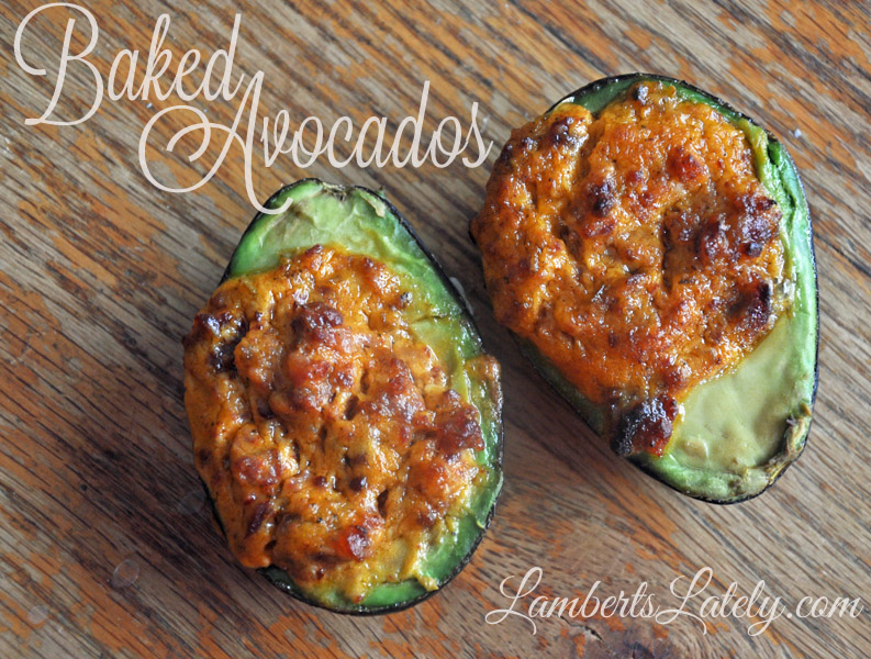 baked avocados recipe lamberts lately a home and baked avocados recipe lamberts lately a home and