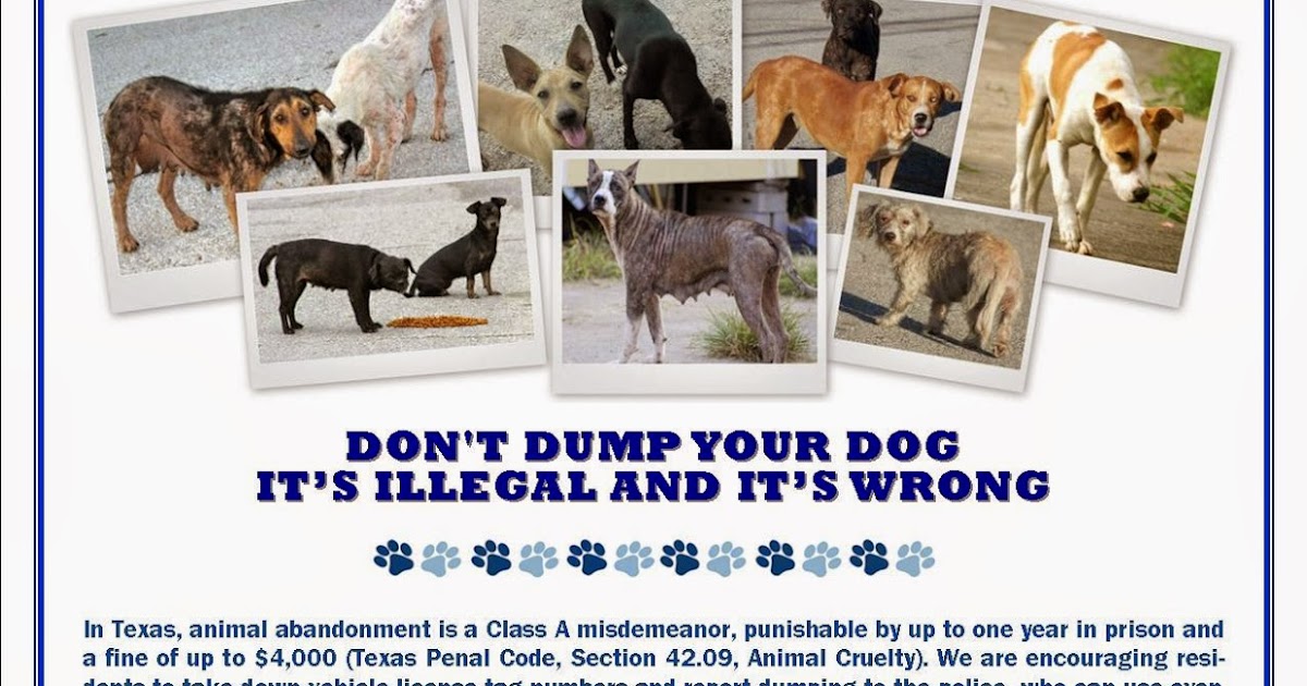 Barrio Watch Dog Texas' No Dumping Law