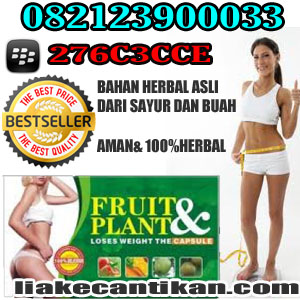 PELANGSING SUPER HERBAL FRUITPLANT CS 082123900033 Oke+telkomse%253B