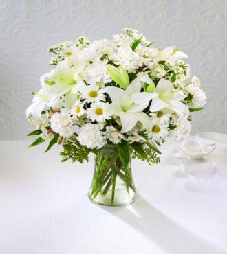 Diffe Types Of White Flowers Klejonka Diffe Types Of White Flowersdiffe Flowers