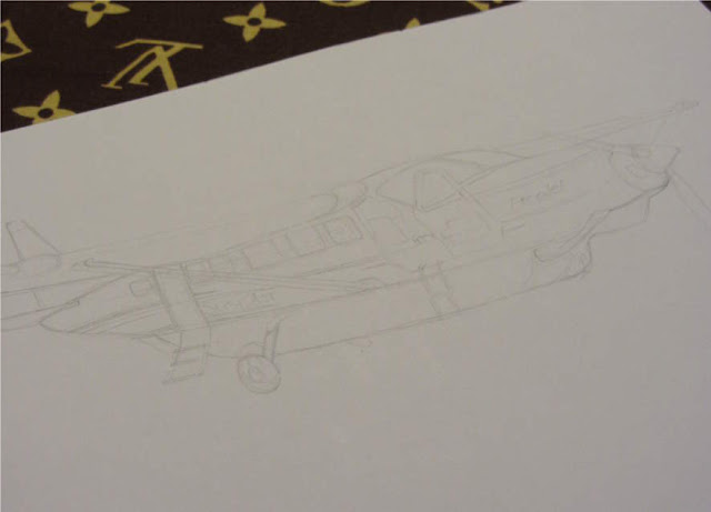 Susi Air airplane