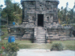 CANDI NGAWEN