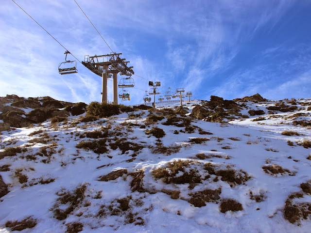 escapada a sierra nevada con niños, mirlo blanco, hoya mora