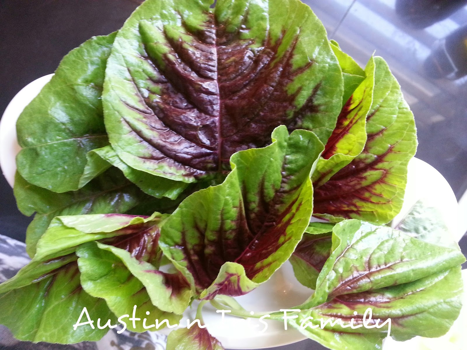 Austin n Iris Family Edible Amaranth Chinese Spinach