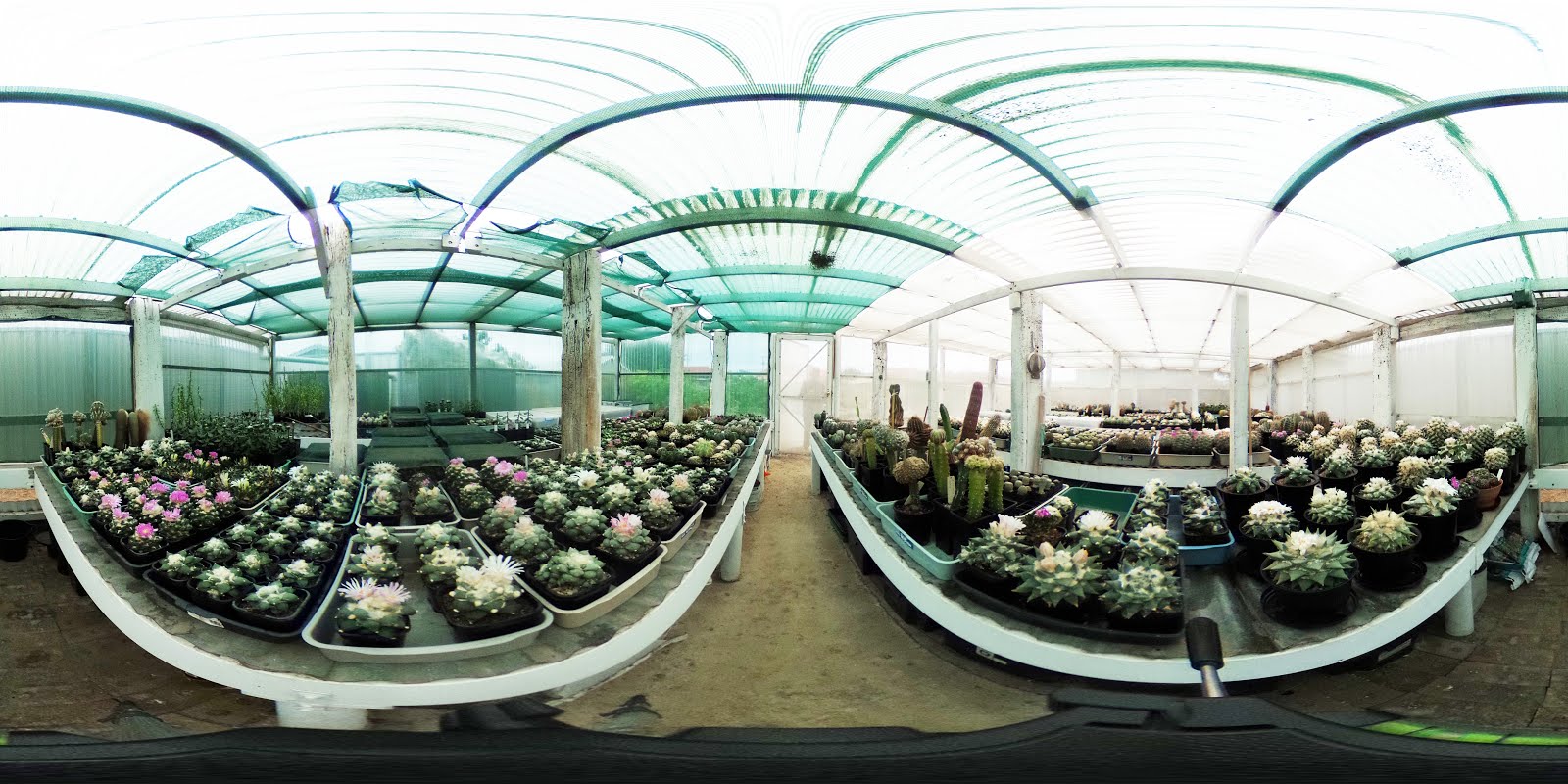 Large greenhouse in autumn