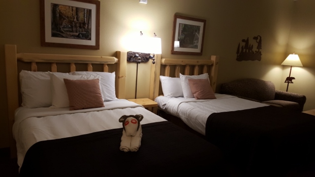 Great Wolf Lodge Rooms