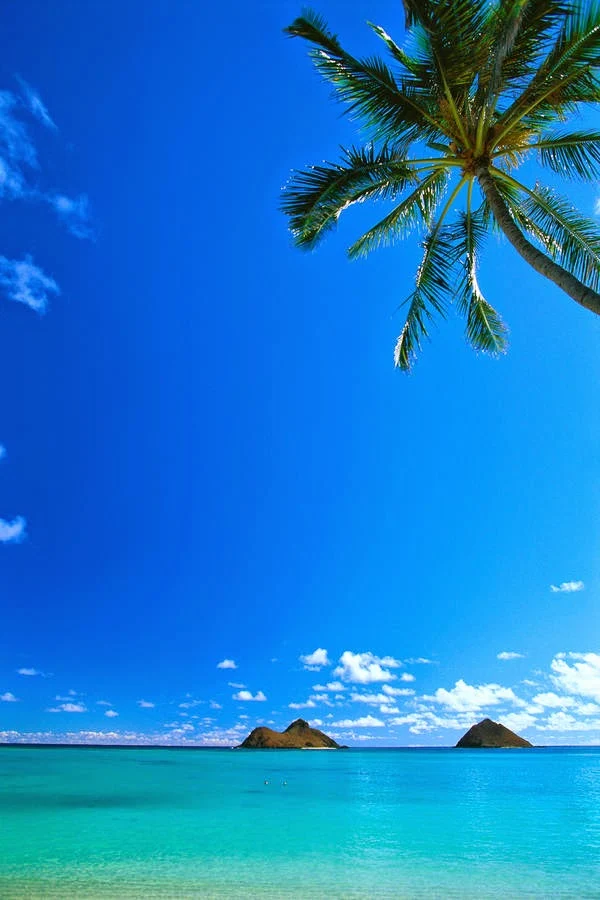 Oahu-lanikai-beach: