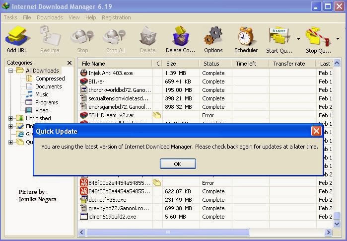 Free Download Idm 6.19 Build 2 Full Crack