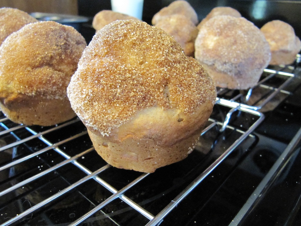 Jules Culinary Creations Mini Donut Muffins