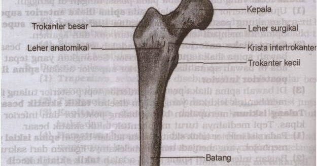 Caring dalam Keperawatan Asuhan Keperawatan Pada pasien