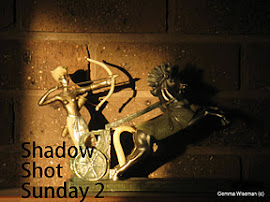 shadow shot sunday