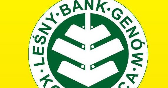 Intentblog: Companies in Poland