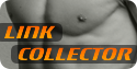 Link collector