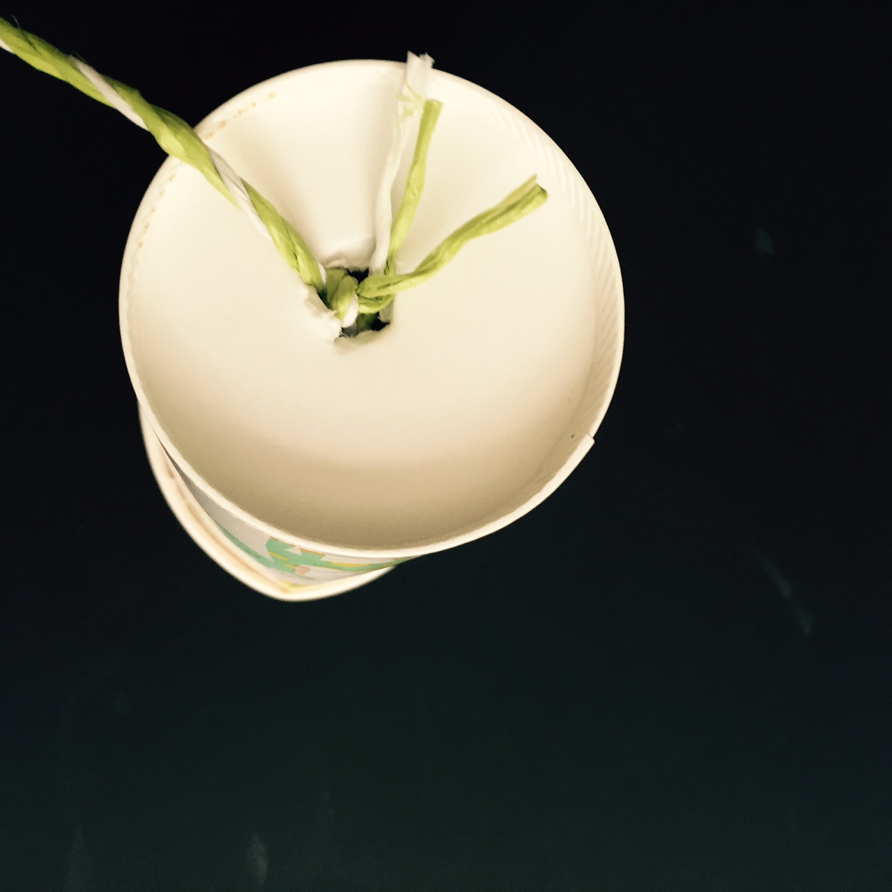 Ecotastic Kid Paper Cup Telephone Craft