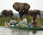 Mana Pools Mana Pools