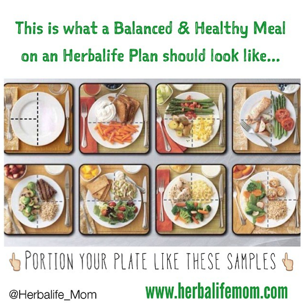 herbalife meal plans