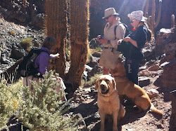 Cactus Gorge