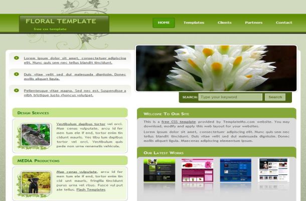 Template site rencontre wordpress