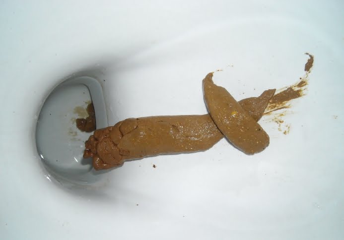 Fotos Inodoro con Caca Imagenes Impresionantes Fotos Inodoro con Caca Imagenes Impresionantes