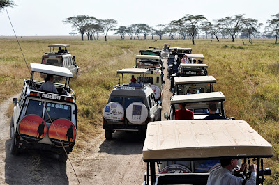 Atasco de jeeps en Safari