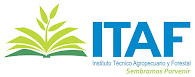 Logo Institucional