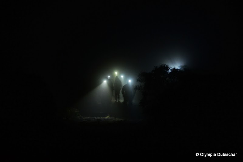 Randonnée à la frontale dans le brouillard