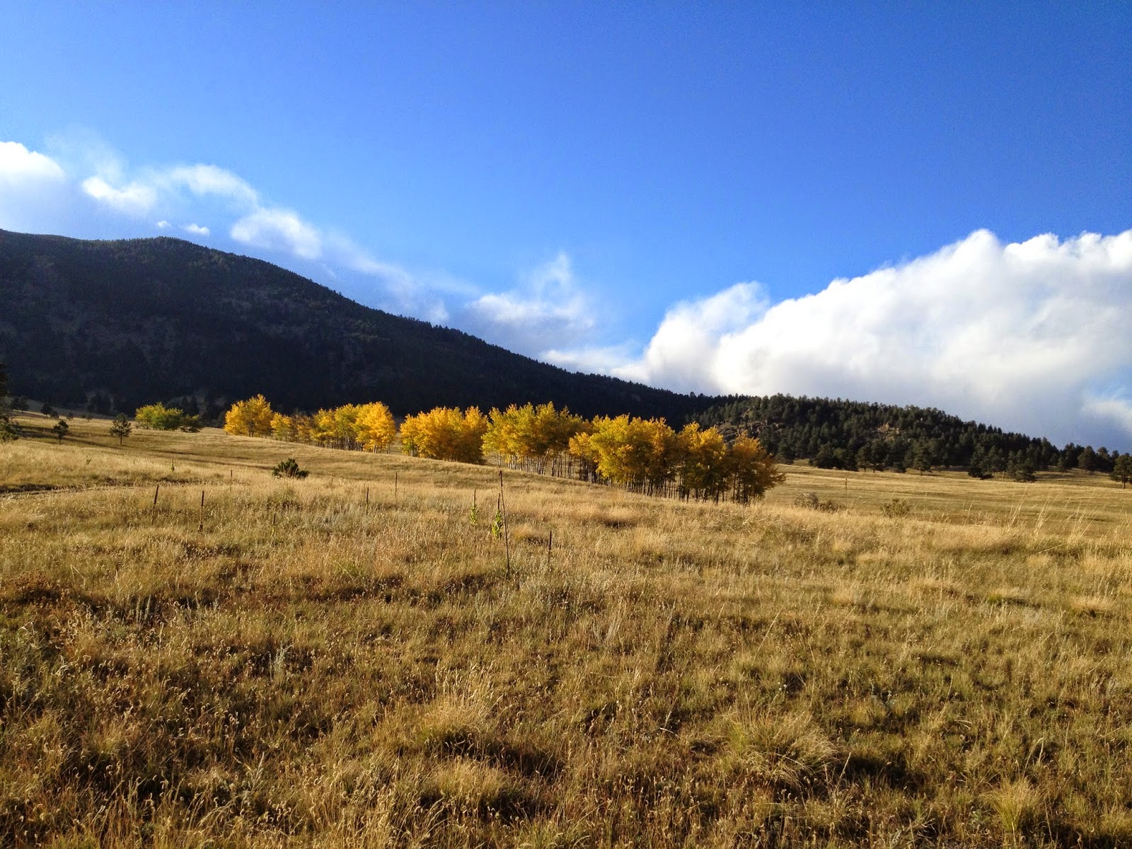 elk meadow park go hike colorado elk meadow park jefferson county open space elk meadow park go hike colorado elk meadow park jefferson county open space