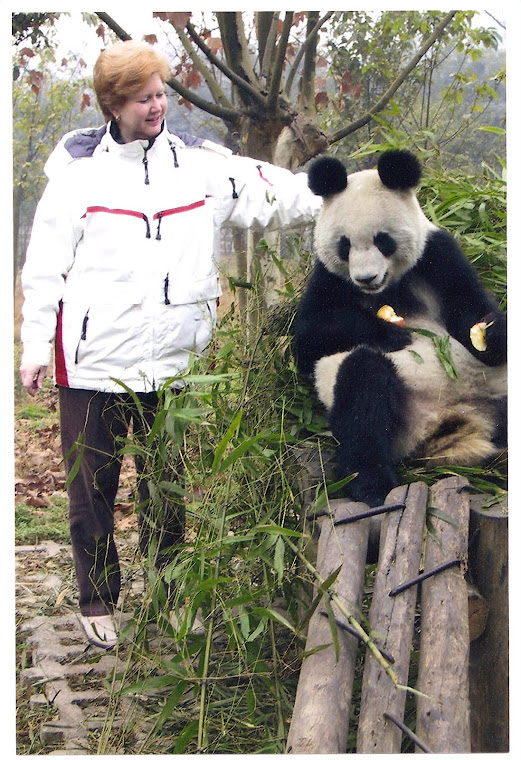 At the Sichuan Panda Preserve