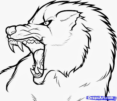 Angry Wolf Face Drawing