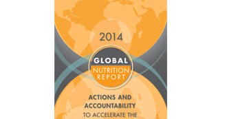 Focus On Data & Accountability At Roundtable On Global Nutrition Report