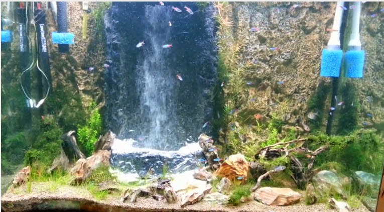 Nhận thi công hồ thủy sinh suối thác - 1