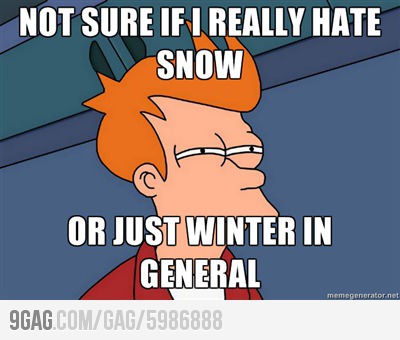 HateSnowOrWinter.jpg