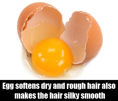 Importance of Egg for Hair 