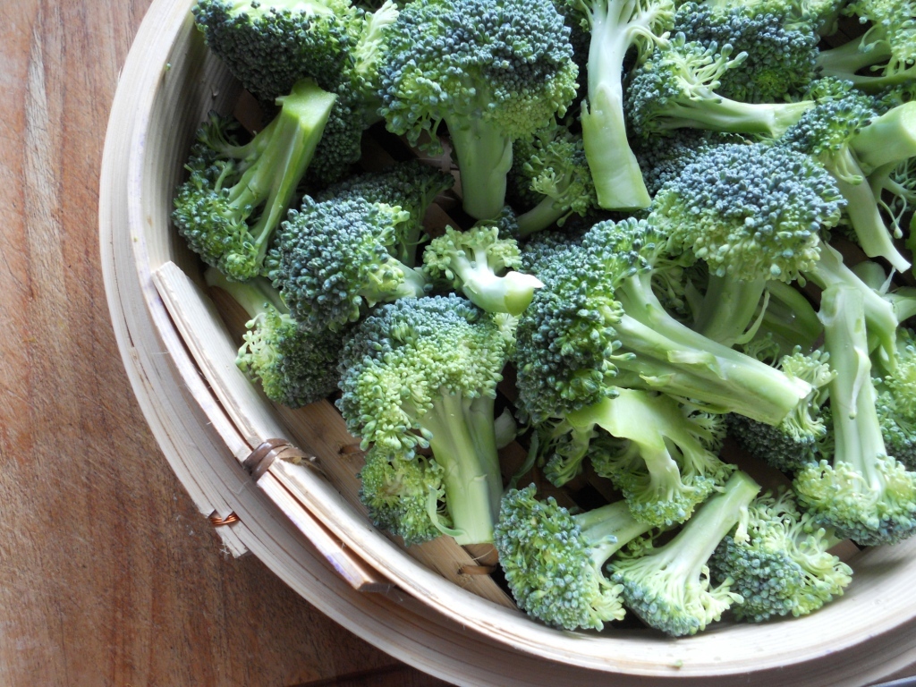 Snacking Squirrel Broccoli Salad and Bamboo Steamer