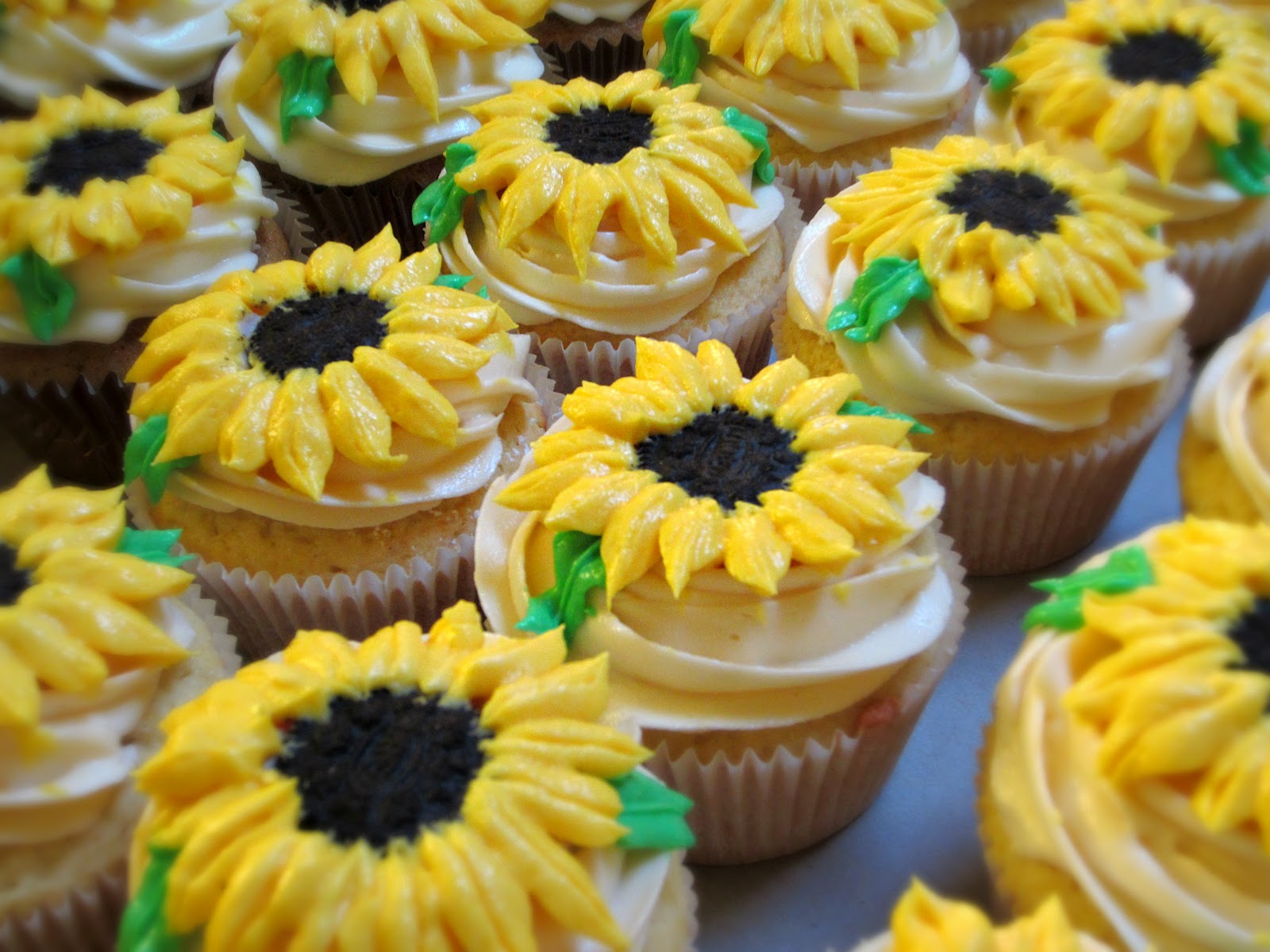 Sugarcoated Sunflower Cupcakes