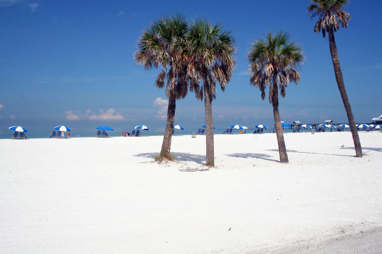 Tourism Clearwater Beach