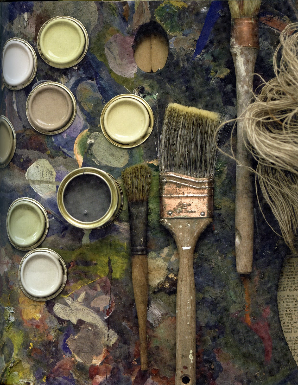 The eloquence of wanton curiosity: The Natural Home by Hans Blomquist