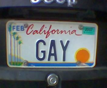 all free gay porn gay hich hiker stories