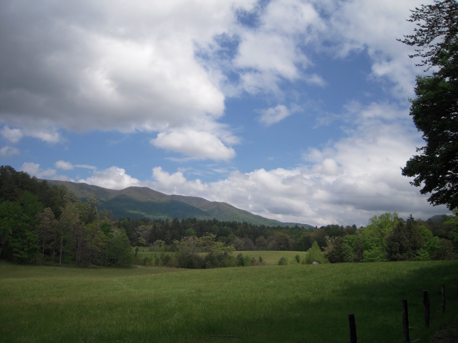 Contemporary Makers Cades Cove