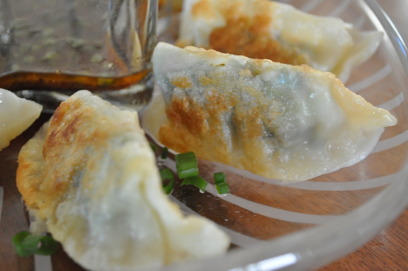Russian Girl in the Kitchen Pan Fried Gyoza with Soy Ginger Dipping Sauce