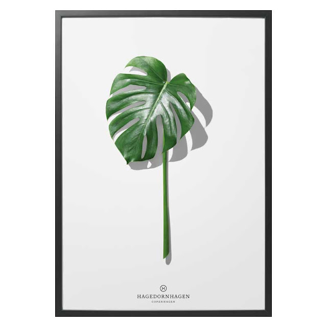 Folium F5 art print via Nordic Blends