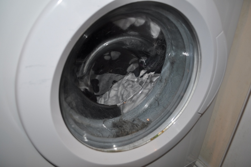 deeprew Dog hairs in washing machine